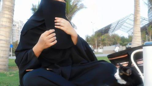 娱乐吃瓜君短裤